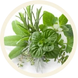 مستخلصات نباتية