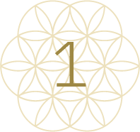 الخطوة الأولى