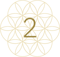 الخطوة الثانية