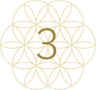 الخطوة الثالثة